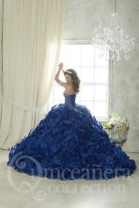 30-vestidos-xv-anos-azul-marino-super-elegantes (18) - Ideas para mis 15