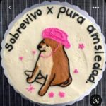 Diseños de pasteles con memes